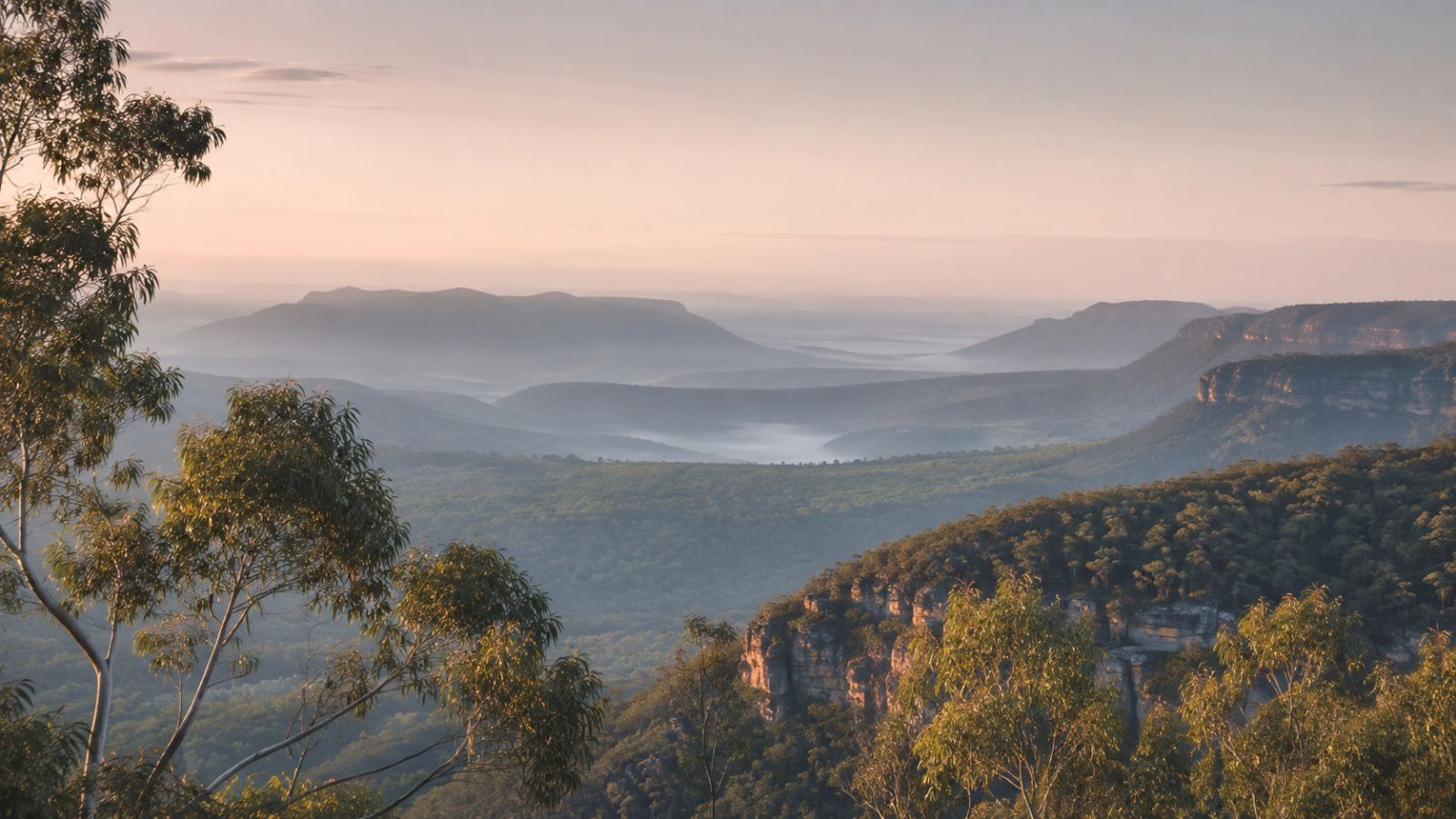 Coastal headland and bushland at sunset